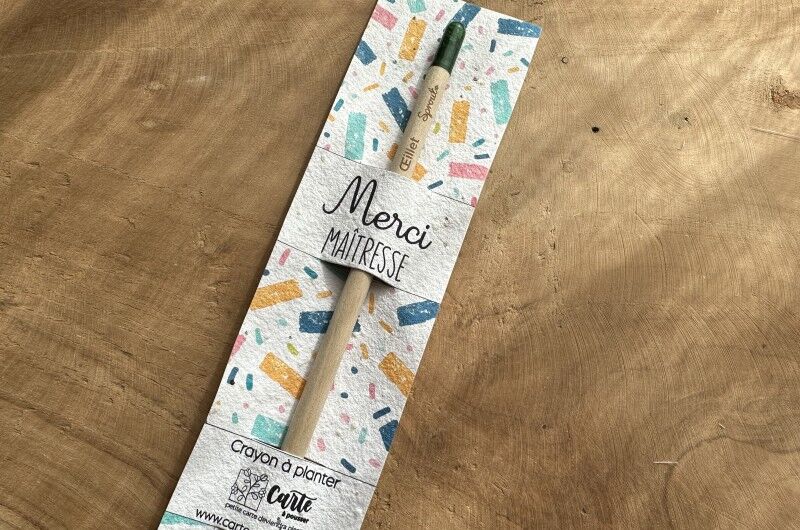 Plantable pencil Thank you Teacher