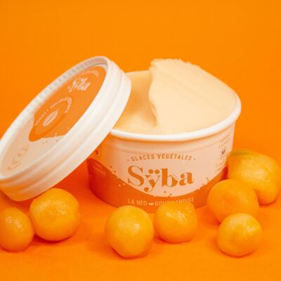 Sorbetto intero al melone - 120ml