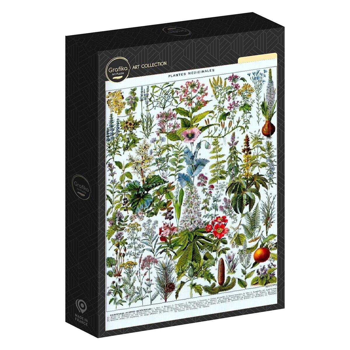 1000 Piece Puzzle - Larousse Illustration: Medicinal Plants