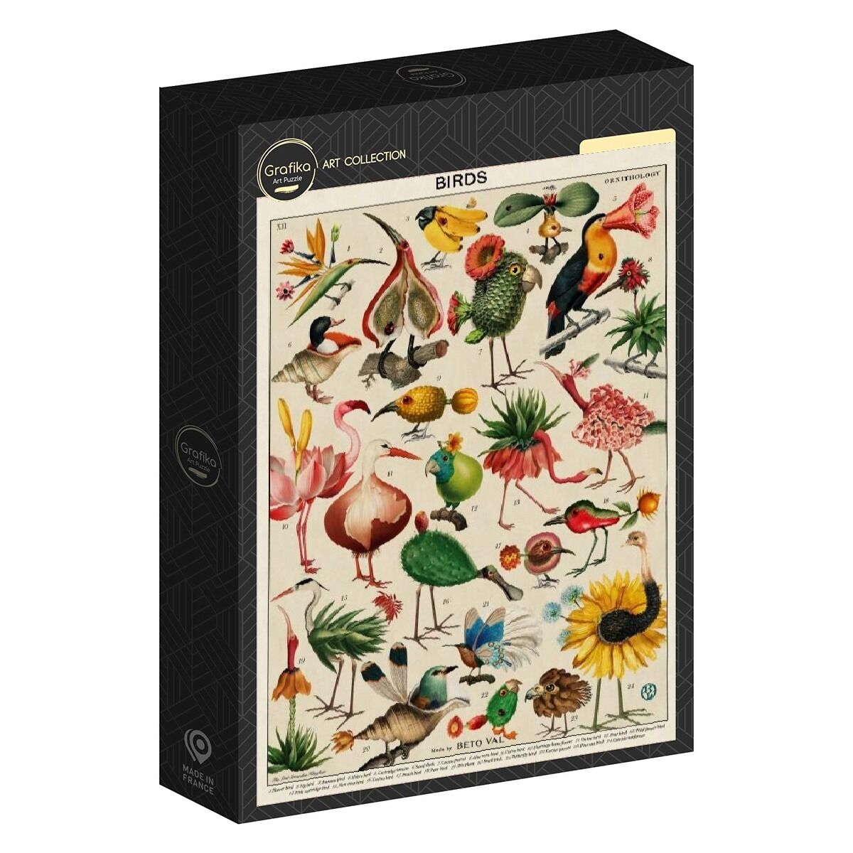 500 Piece Puzzle - Birds by Beto Val