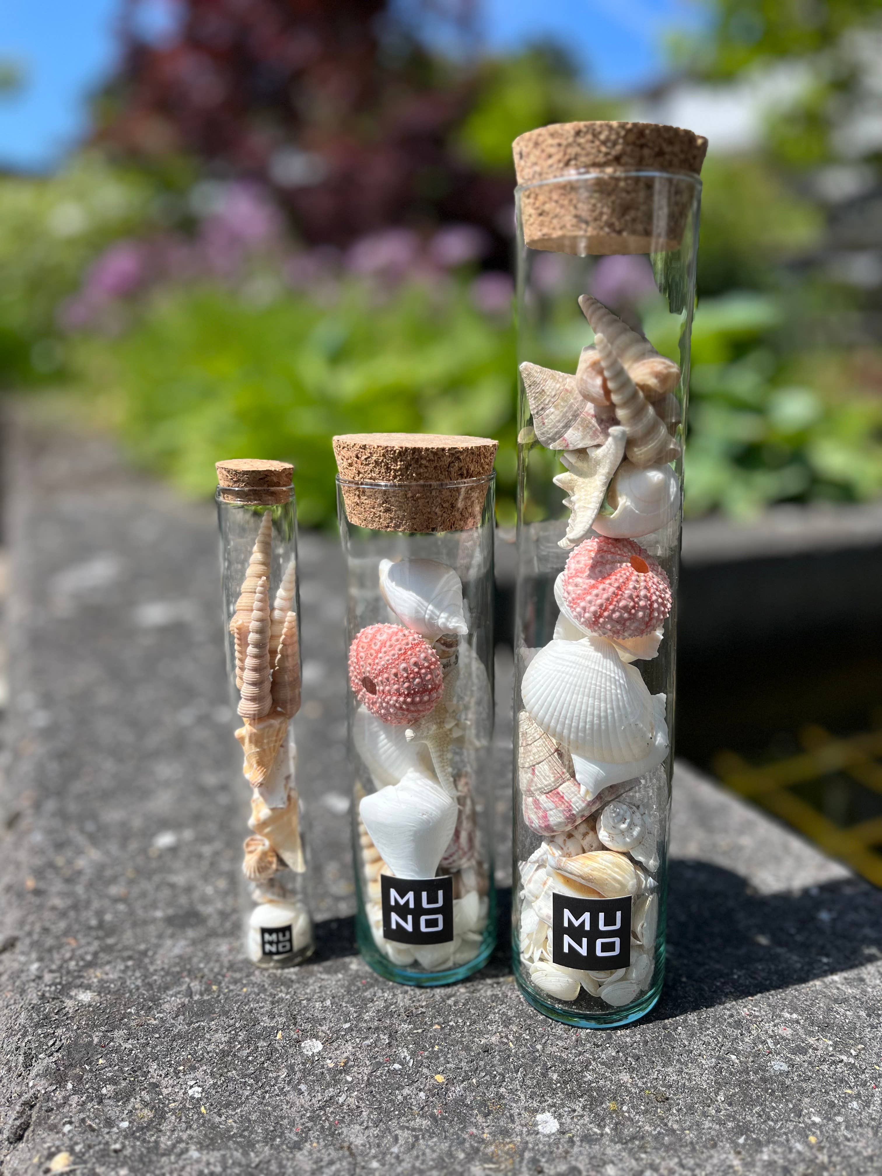 Glass Tube 30 cm with Shells * EU ONLY