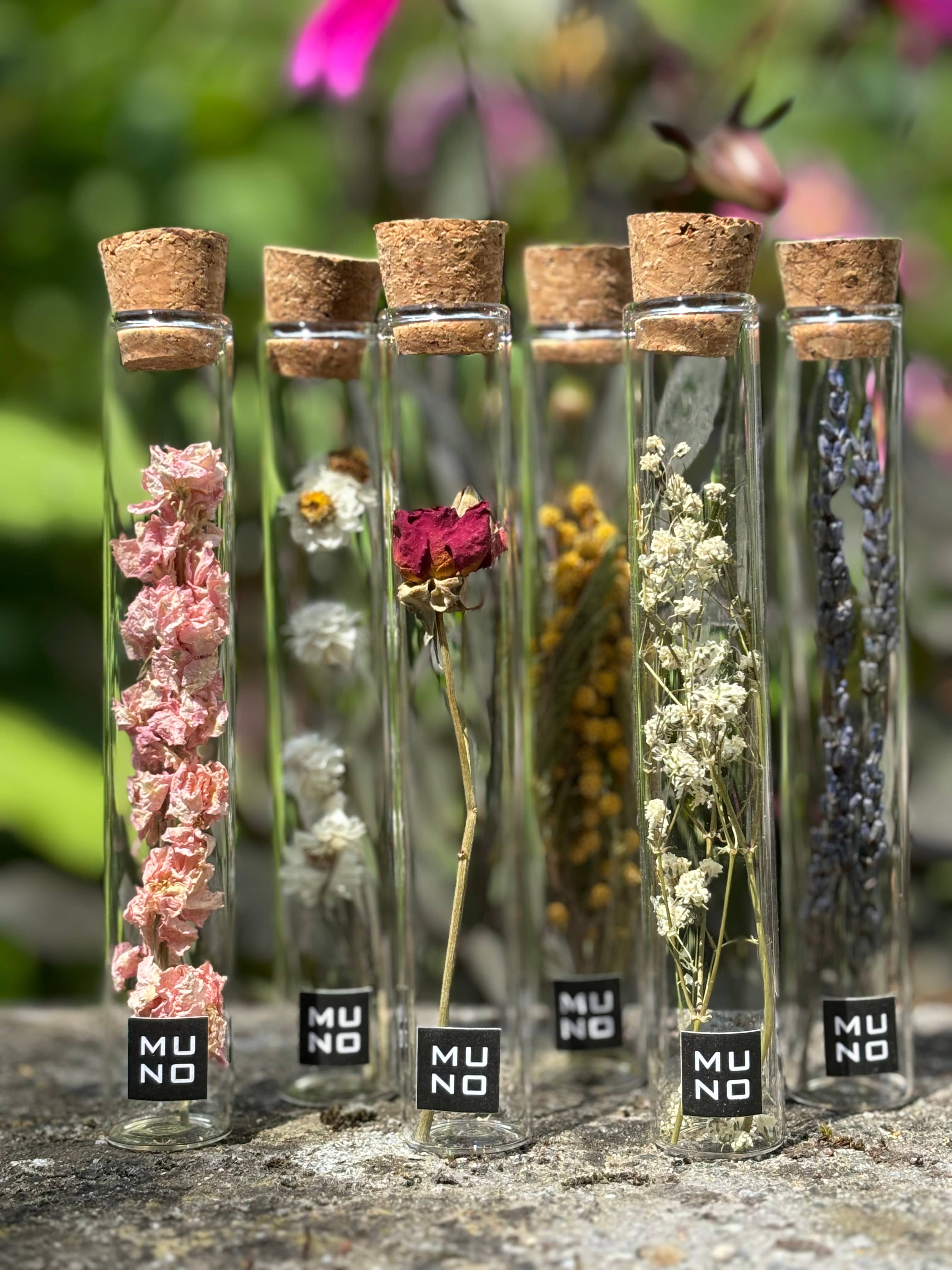TUBE 15 CM WITH DRIED FLOWER - Gift