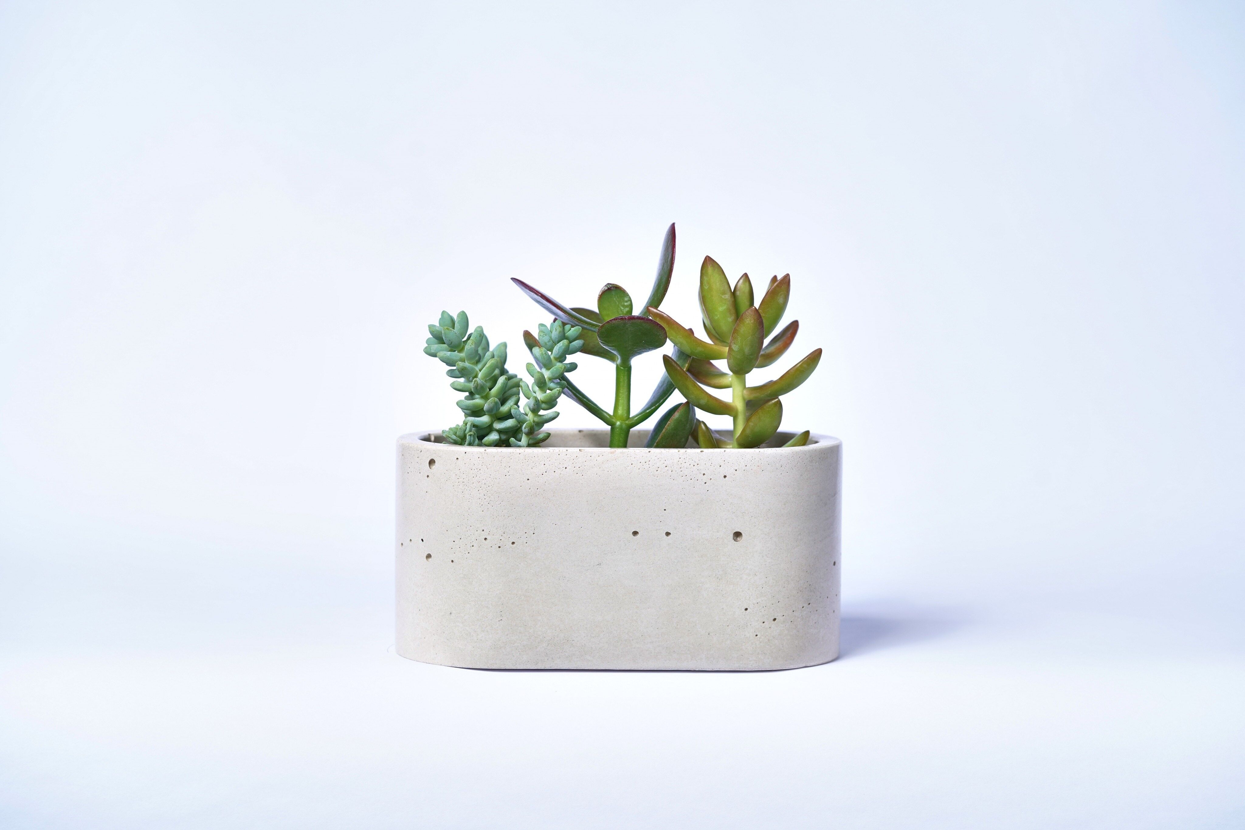 Fioriera piccola per piante da interno in cemento colorato - Concrete Beige