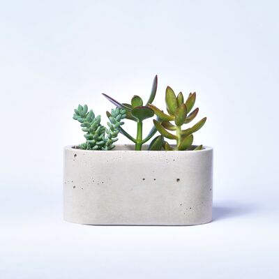 Fioriera piccola per piante da interno in cemento colorato - Concrete Beige