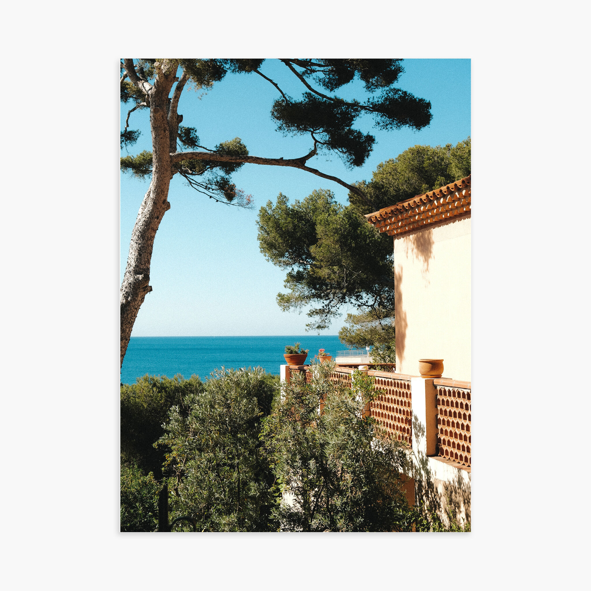 Poster 30x40 cm - Cassidaine House