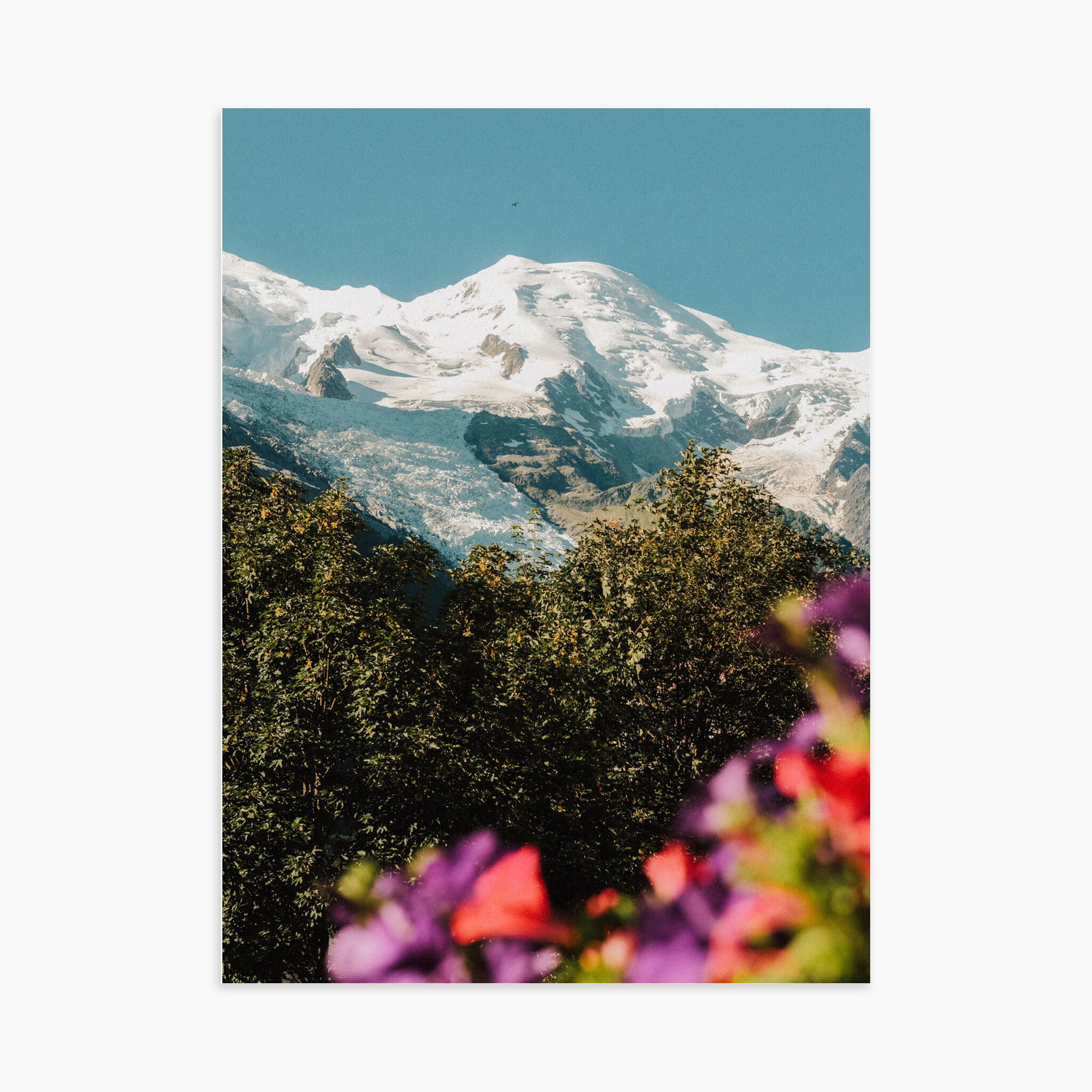 30X40 CM POSTER - Mont Blanc Fleuri