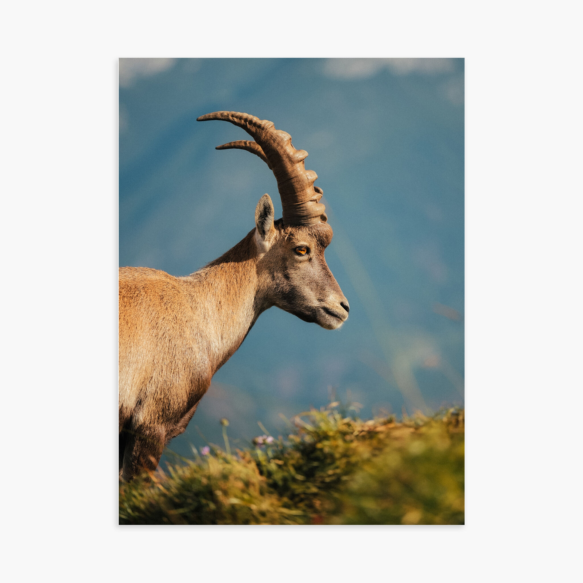 Poster 30x40 cm - Das Treffen