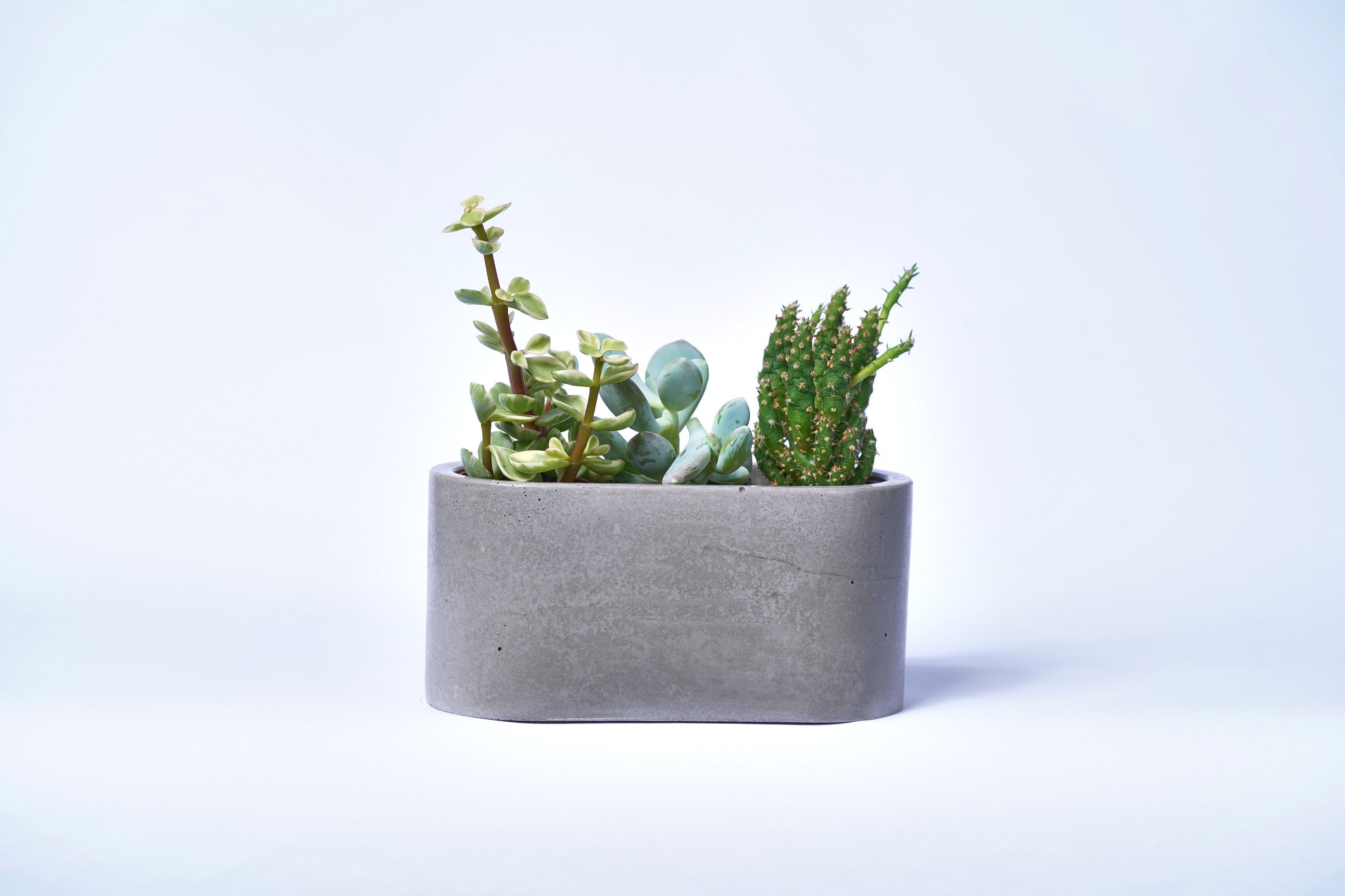 Fioriera piccola per piante da interno in cemento colorato - Grey Concrete