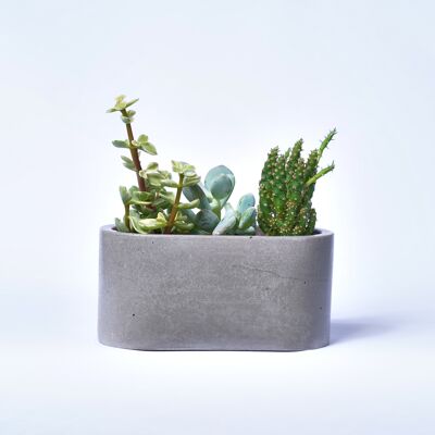 Fioriera piccola per piante da interno in cemento colorato - Grey Concrete