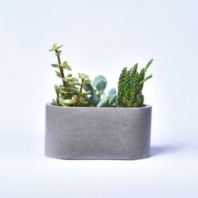 Petite jardinière pour plantes d'intérieur en béton coloré -  Béton Gris