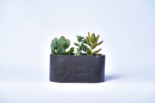 Petite jardinière pour plantes d'intérieur en béton coloré -  Béton Anthracite
