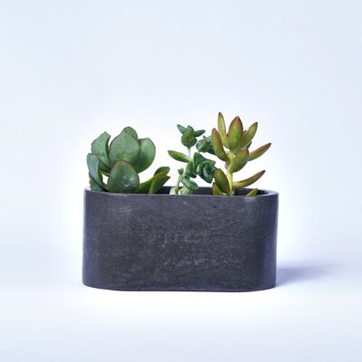 Kleines Pflanzgefäß für Zimmerpflanzen aus farbigem Beton - Anthrazit Beton