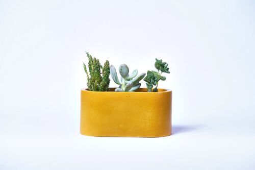 Petite jardinière pour plantes d'intérieur en béton coloré -  Béton Jaune