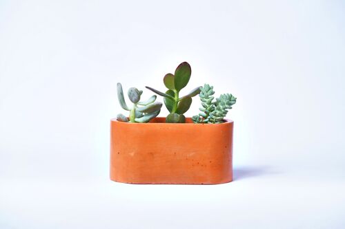 Petite jardinière pour plantes d'intérieur en béton coloré -  Béton Orange