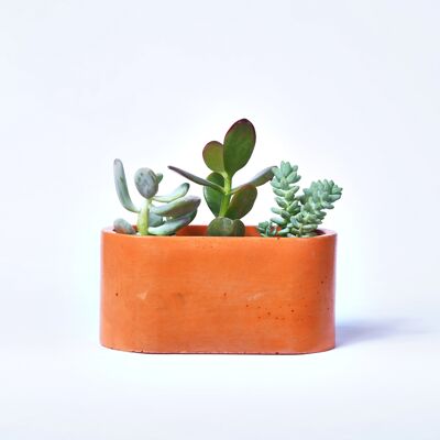 Small planter for indoor plants in colored concrete - Concrete Orange