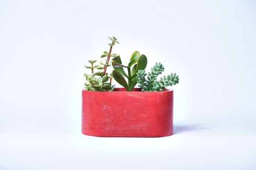 Petite jardinière pour plantes d'intérieur en béton coloré -  Béton Rouge