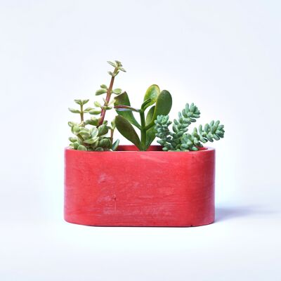 Petite jardinière pour plantes d'intérieur en béton coloré -  Béton Rouge