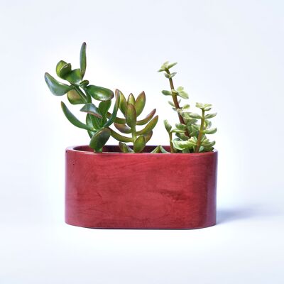 Small planter for indoor plants in colored concrete - Béton Brique