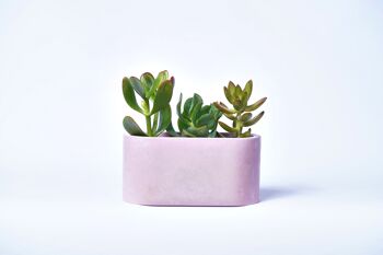 Petite jardinière pour plantes d'intérieur en béton coloré -  Béton Rose Pastel 1