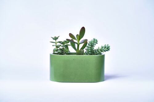 Petite jardinière pour plantes d'intérieur en béton coloré -  Béton Vert