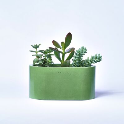 Petite jardinière pour plantes d'intérieur en béton coloré -  Béton Vert