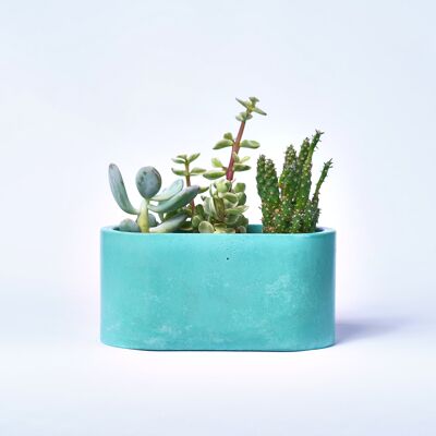 Small planter for indoor plants in colored concrete - Concrete Turquoise