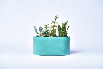 Petite jardinière pour plantes d'intérieur en béton coloré -  Béton Turquoise 1