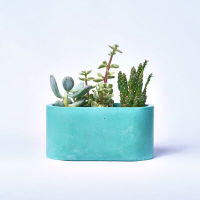 Jardinera pequeña para plantas de interior en hormigón coloreado - Concrete Turquoise