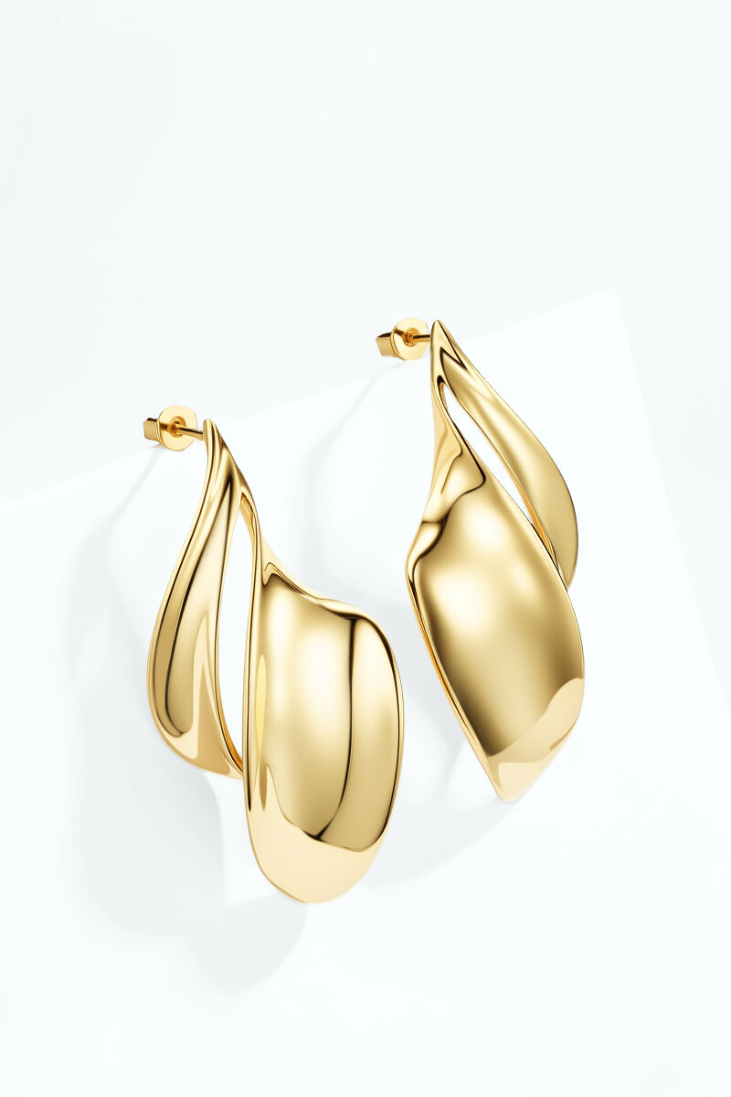 Stainless steel earrings 124AQ723