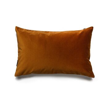 Coussin ULLA OR PETIT 1