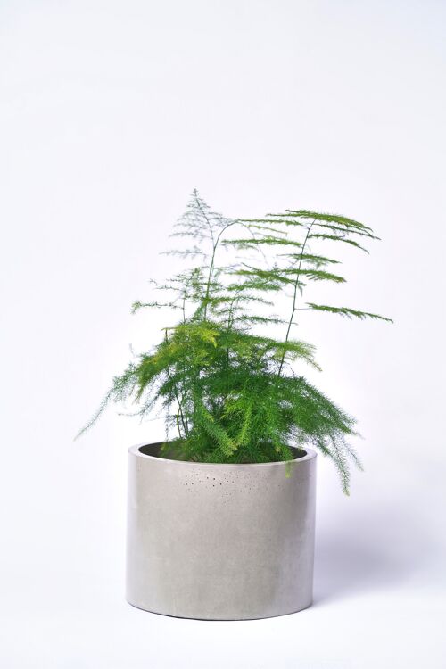POT XXL - Cache-pot pour plante d'intérieur en béton coloré -  Béton Gris