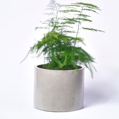POT XXL - Cache-pot pour plante d'intérieur en béton coloré -  Béton Gris
