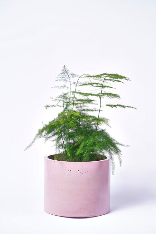 POT XXL - Cache-pot pour plante d'intérieur en béton coloré -  Béton Rose Pastel