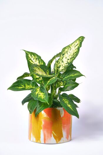 POT XXL - Cache-pot pour plante d'intérieur en béton coloré -  Béton Tie&Dye Orange et Jaune 1