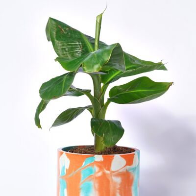 XXL POT - Indoor plant pot in colored concrete - Concrete Tie & Dye Orange and Turquoise