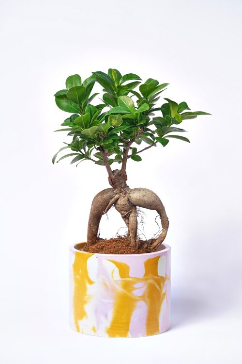 POT XXL - Cache-pot pour plante d'intérieur en béton coloré -  Béton Tie&Dye Rose et Jaune