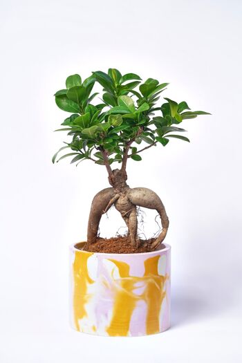 POT XXL - Cache-pot pour plante d'intérieur en béton coloré -  Béton Tie&Dye Rose et Jaune 1