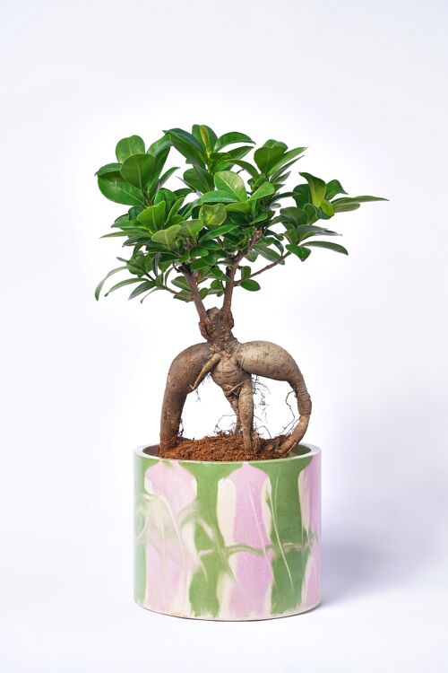 POT XXL - Cache-pot pour plante d'intérieur en béton coloré -  Béton Tie&Dye Rose et Vert