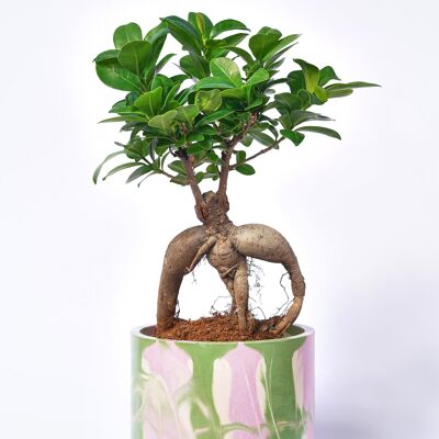 POT XXL - Cache-pot pour plante d'intérieur en béton coloré -  Béton Tie&Dye Rose et Vert