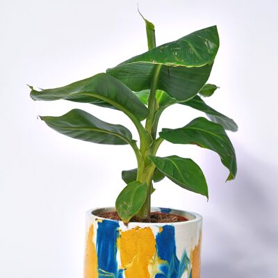 POT XXL - Indoor plant pot in colored concrete - Concrete Tie&Dye Petrol Blue and Yellow