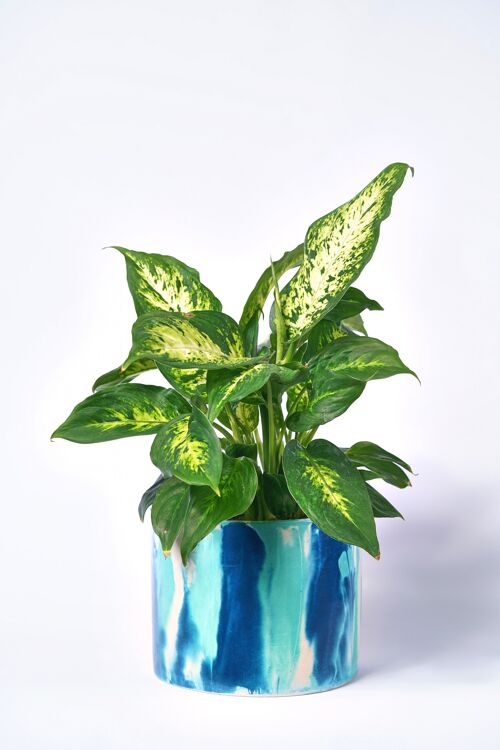 POT XXL - Cache-pot pour plante d'intérieur en béton coloré -  Béton Tie&Dye Bleu Pétrole et Turquoise