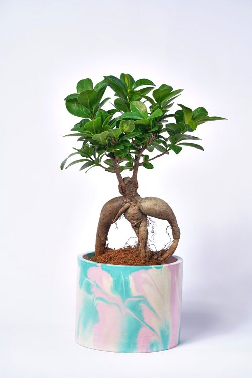POT XXL - Cache-pot pour plante d'intérieur en béton coloré -  Béton Tie&Dye Rose et Turquoise