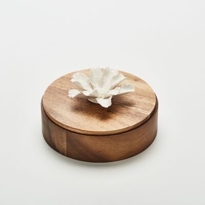 Wooden and porcelain box TIARI-20cm