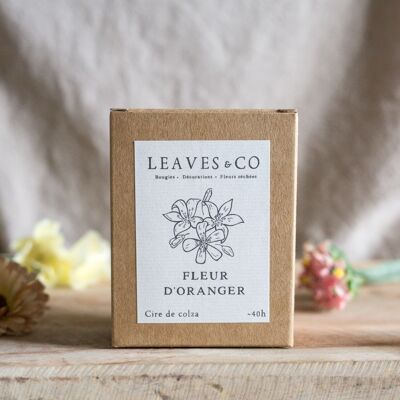 Fondant de cire parfumée - Leaves & Co