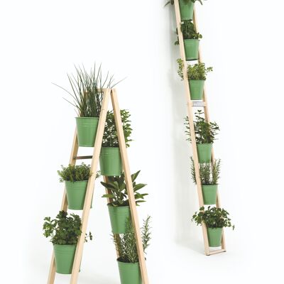 Escalera vegetal - verde pálido