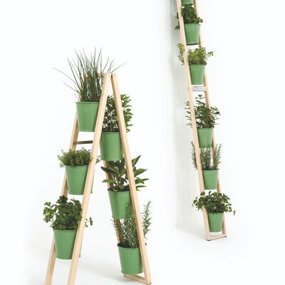 Escalera vegetal - verde pálido