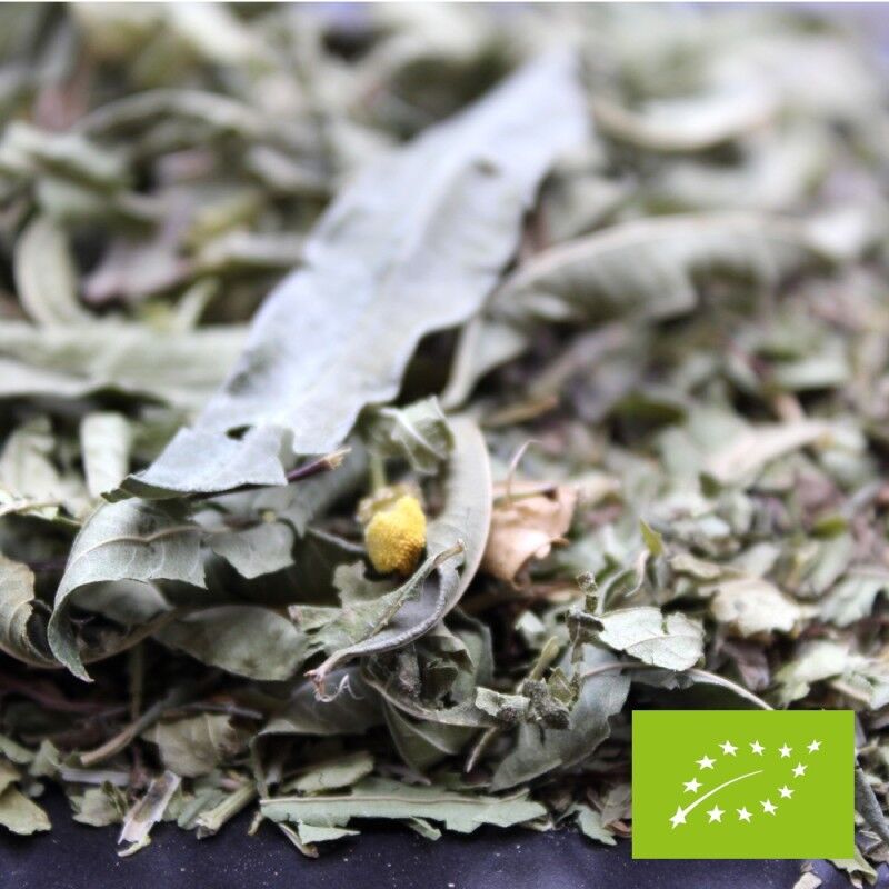 Organic Verbena-Mint Infusion* - Loose Leaf Infusion 1kg