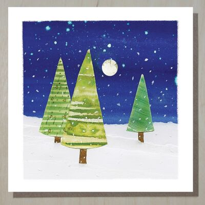 Cartolina di Natale WND259 (alberi d'inverno)