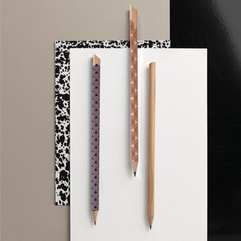 Assortiment de 24 crayons de papier magnétiques - naturel, noir et brun 2