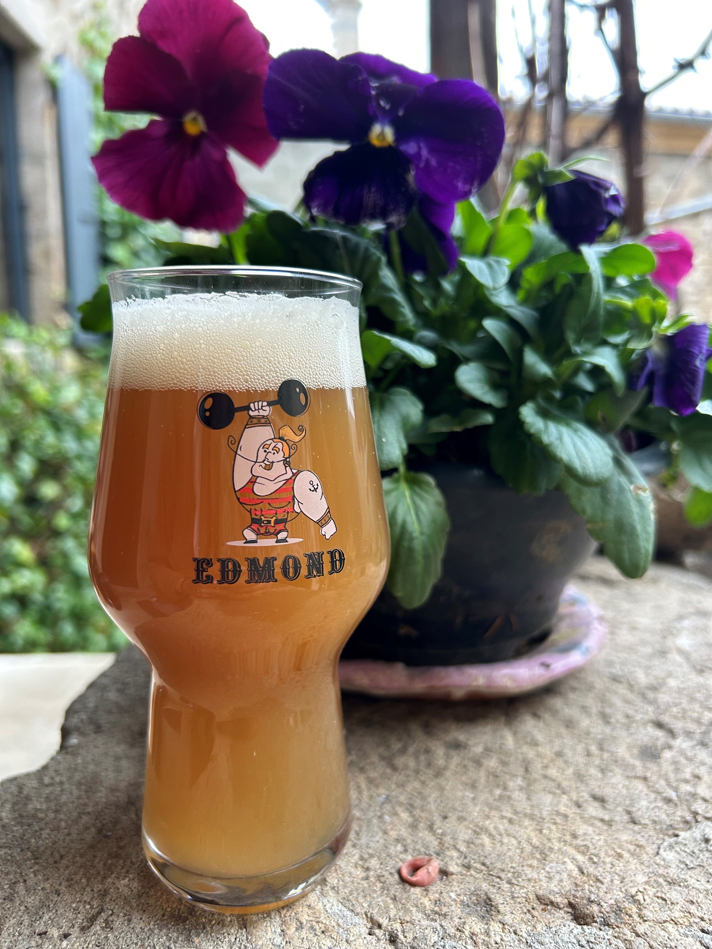 6 Edmond glasses